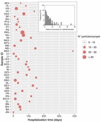 Impact of Plastic Debris on the Gut Microbiota of Caretta caretta From Northwestern Adriatic Sea